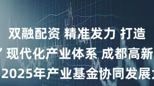 双融配资 精准发力 打造“3+6+6”现代化产业体系 成都高新区举办2025年产业基金协同发展大会_资本_策源_投资