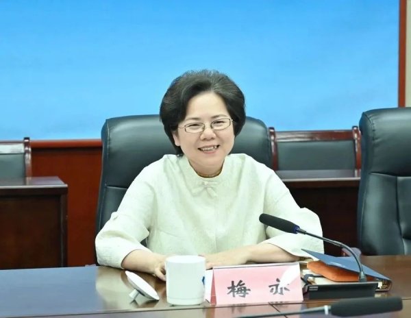 好牛配资 “70后”梅亦，获新职