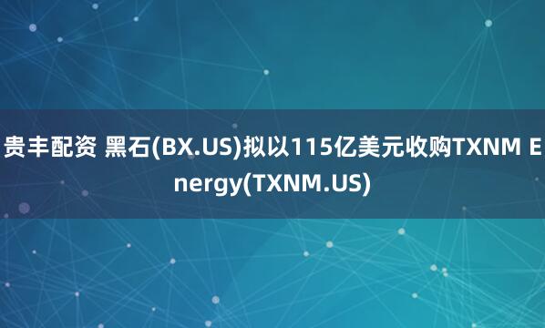 贵丰配资 黑石(BX.US)拟以115亿美元收购TXNM Energy(TXNM.US)