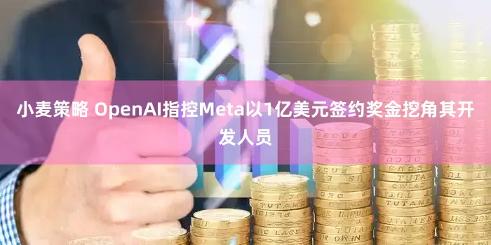 小麦策略 OpenAI指控Meta以1亿美元签约奖金挖角其开发人员